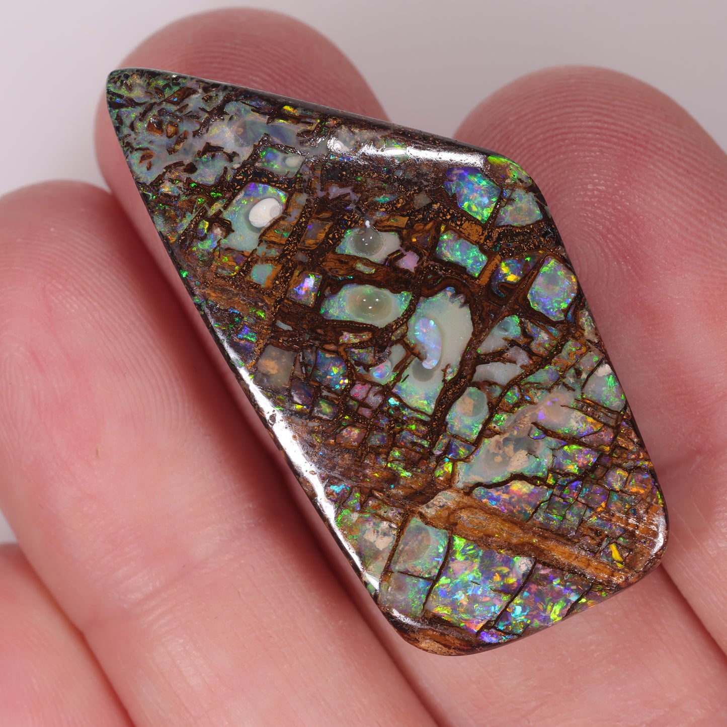 Boulder Opal 52.56cts 22626