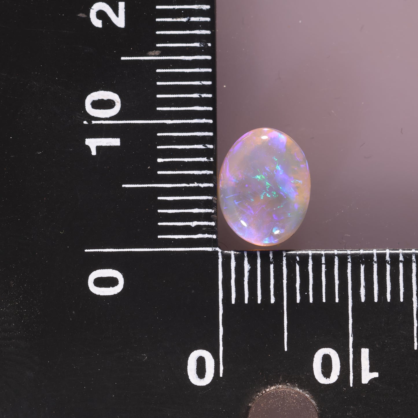 Lightning Ridge Opal 1.81cts 25366