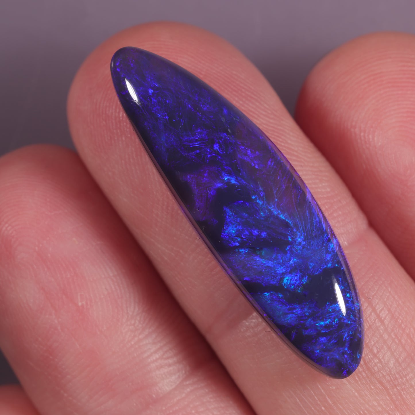 Lightning Ridge Opal 13.92cts 27474