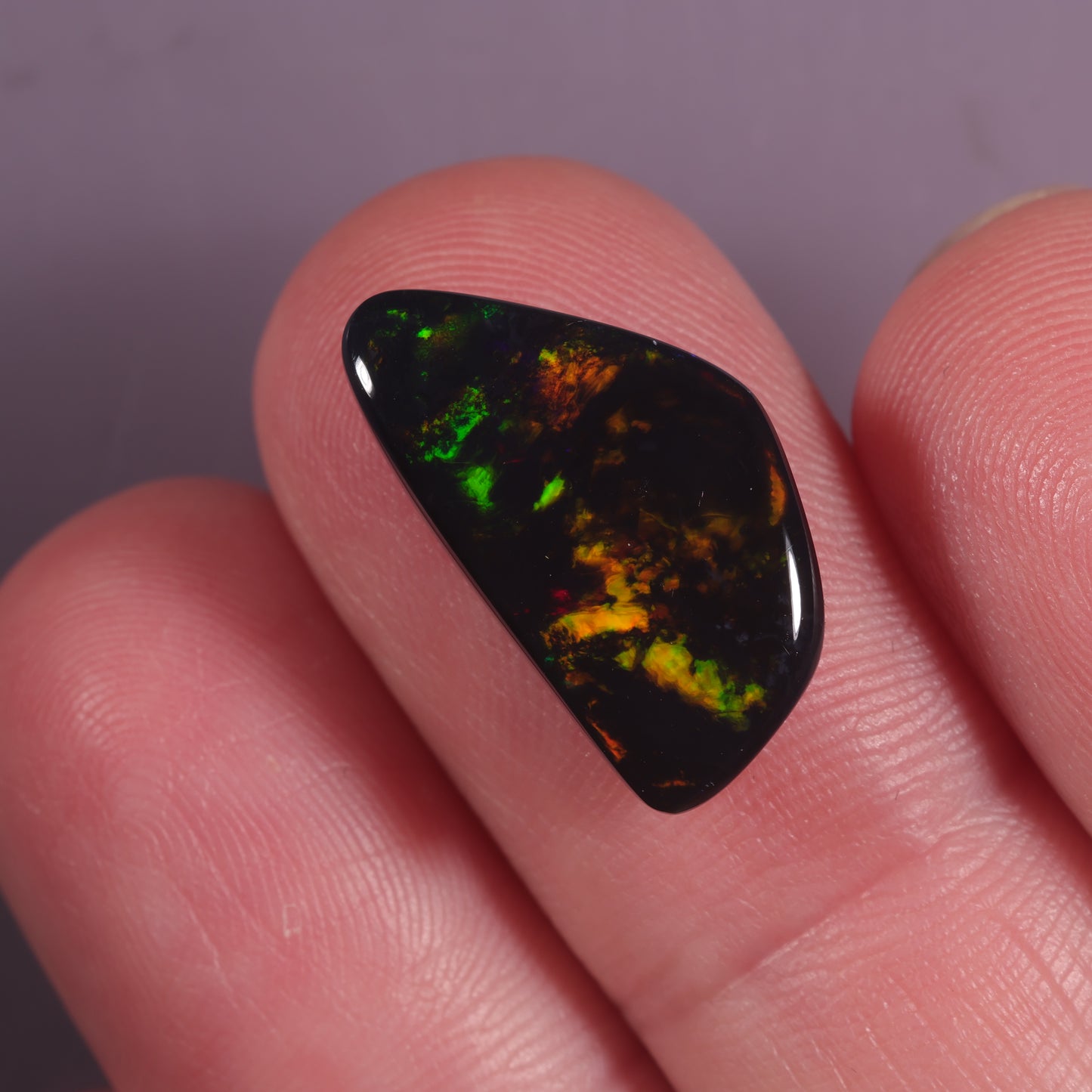 Lightning Ridge Opal 5.51cts 25537