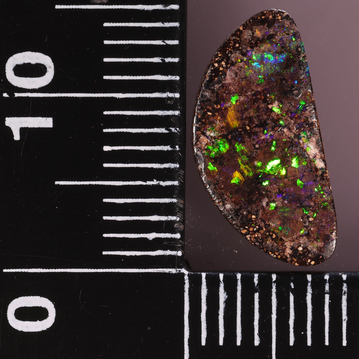 Boulder Opal 3.51cts 28306
