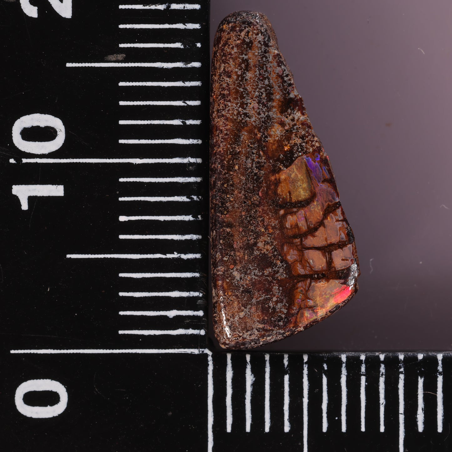 Boulder Opal 4.35cts 28651