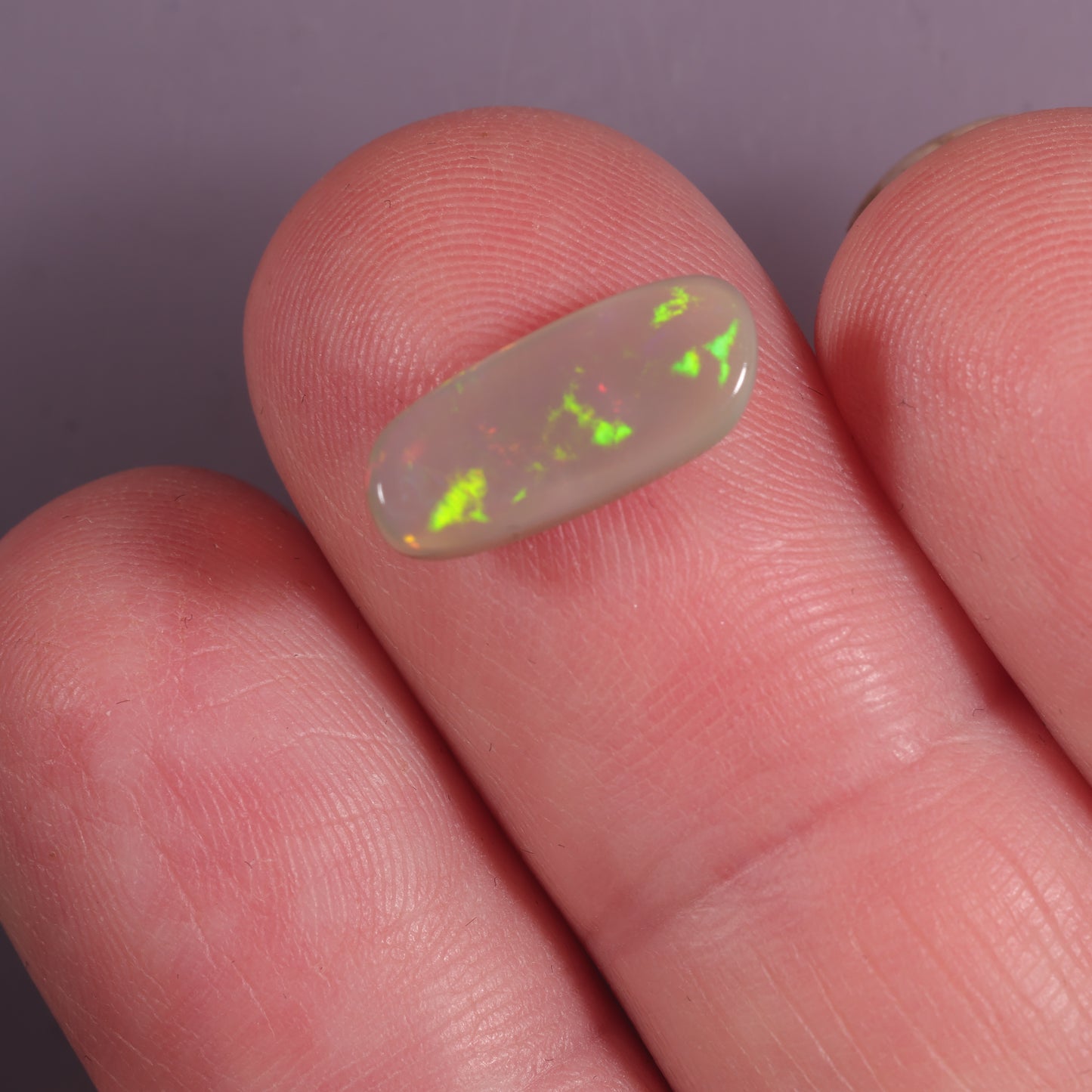 Lightning Ridge Opal 1.81cts 24553