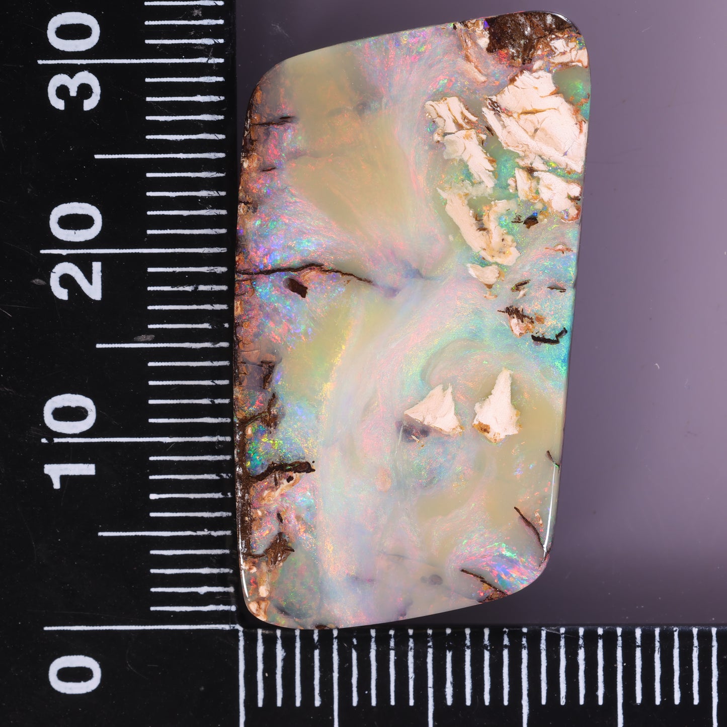Boulder Opal 33.66cts 28603