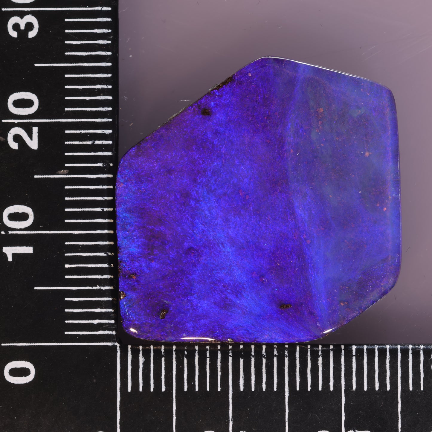 Boulder Opal 28.50cts 21998