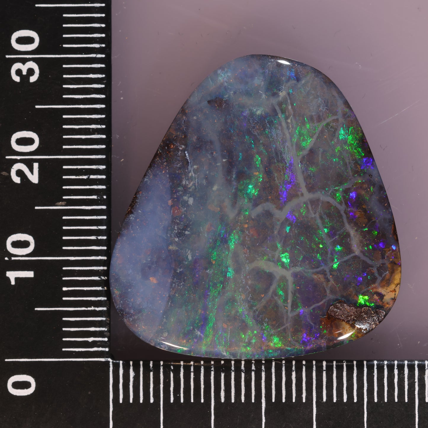 Boulder Opal 39.66cts 24010