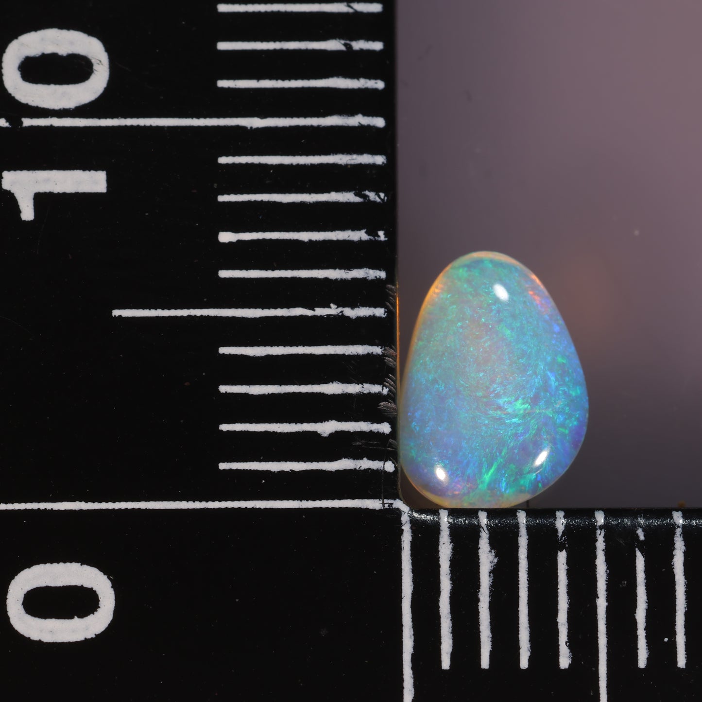 Lightning Ridge Opal 0.48cts 26824