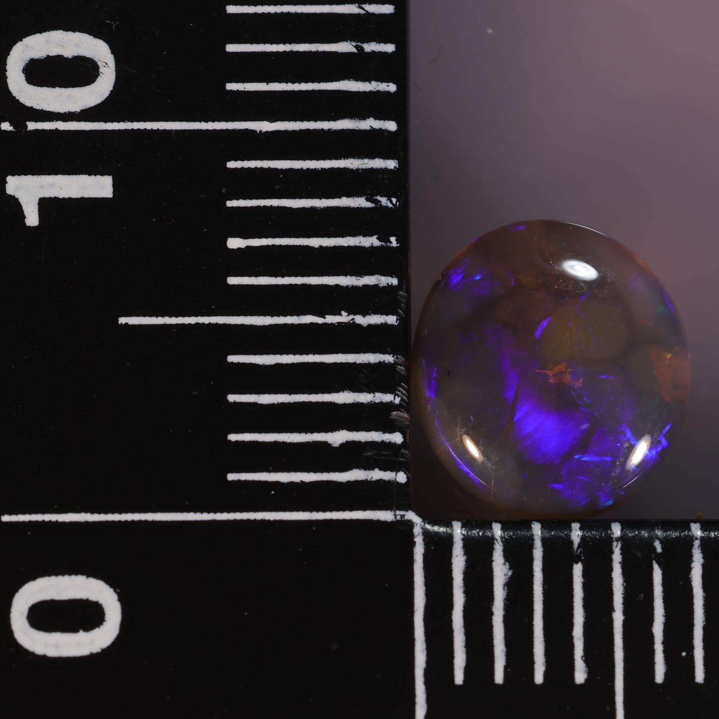 Lightning Ridge Opal 1.10cts 27321