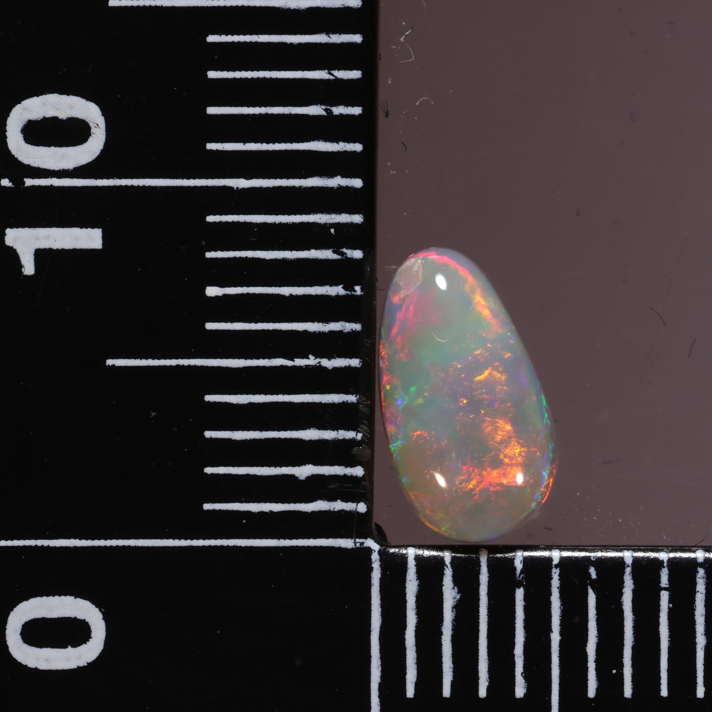 Lightning Ridge Opal 0.94cts 24541