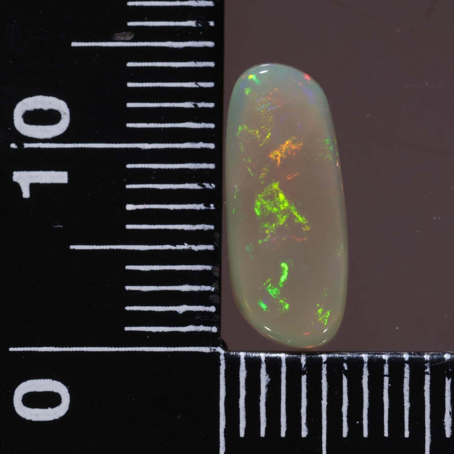 Lightning Ridge Opal 1.81cts 24553