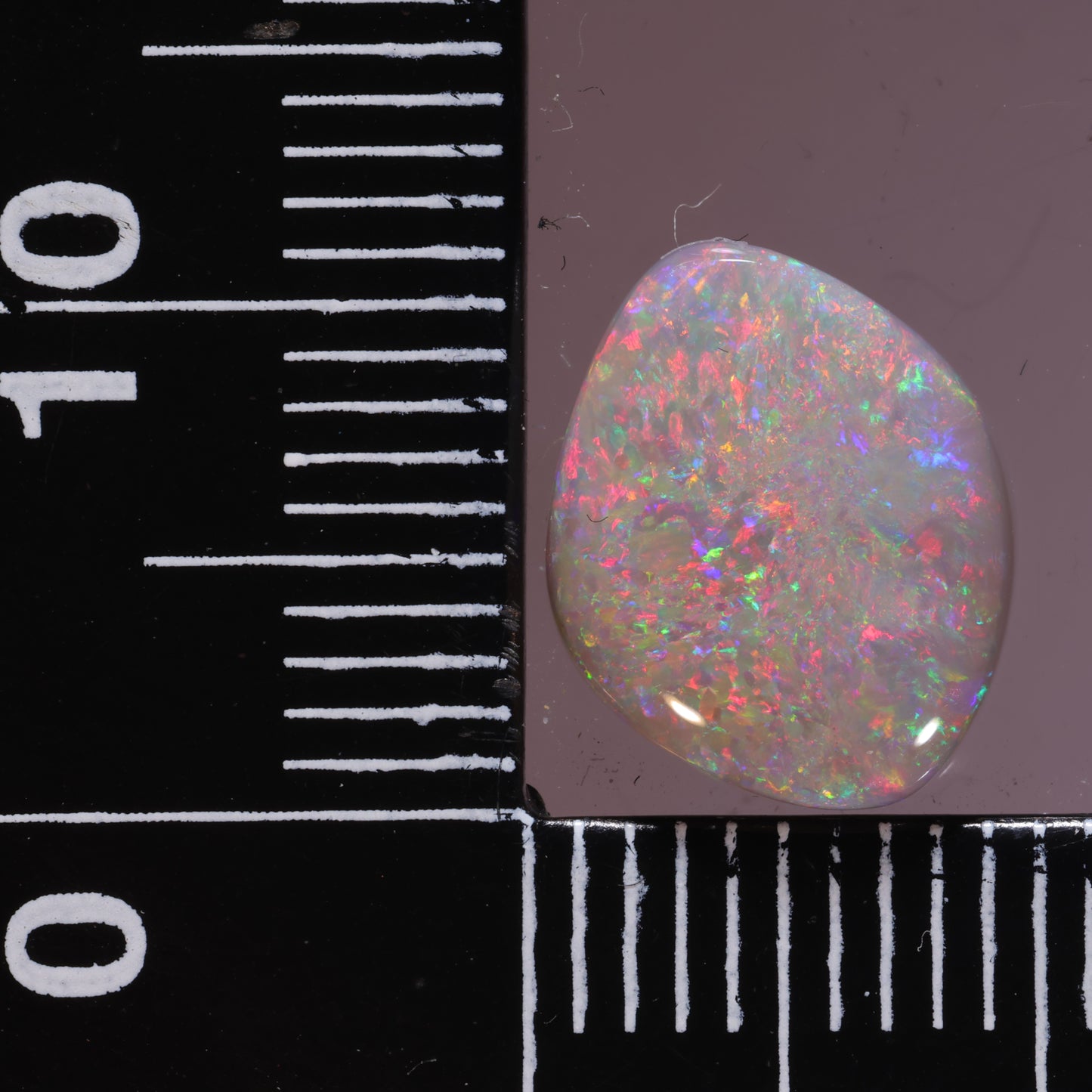 Lightning Ridge Opal 2.59cts 24569