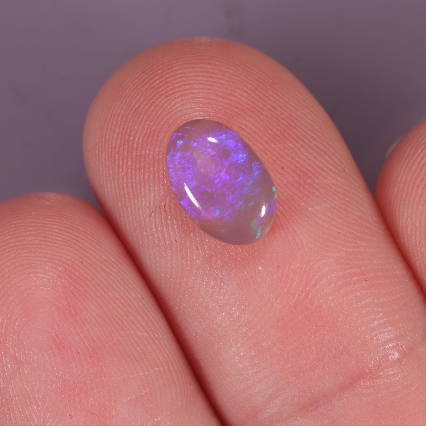 Lightning Ridge Opal 1.16cts 24712