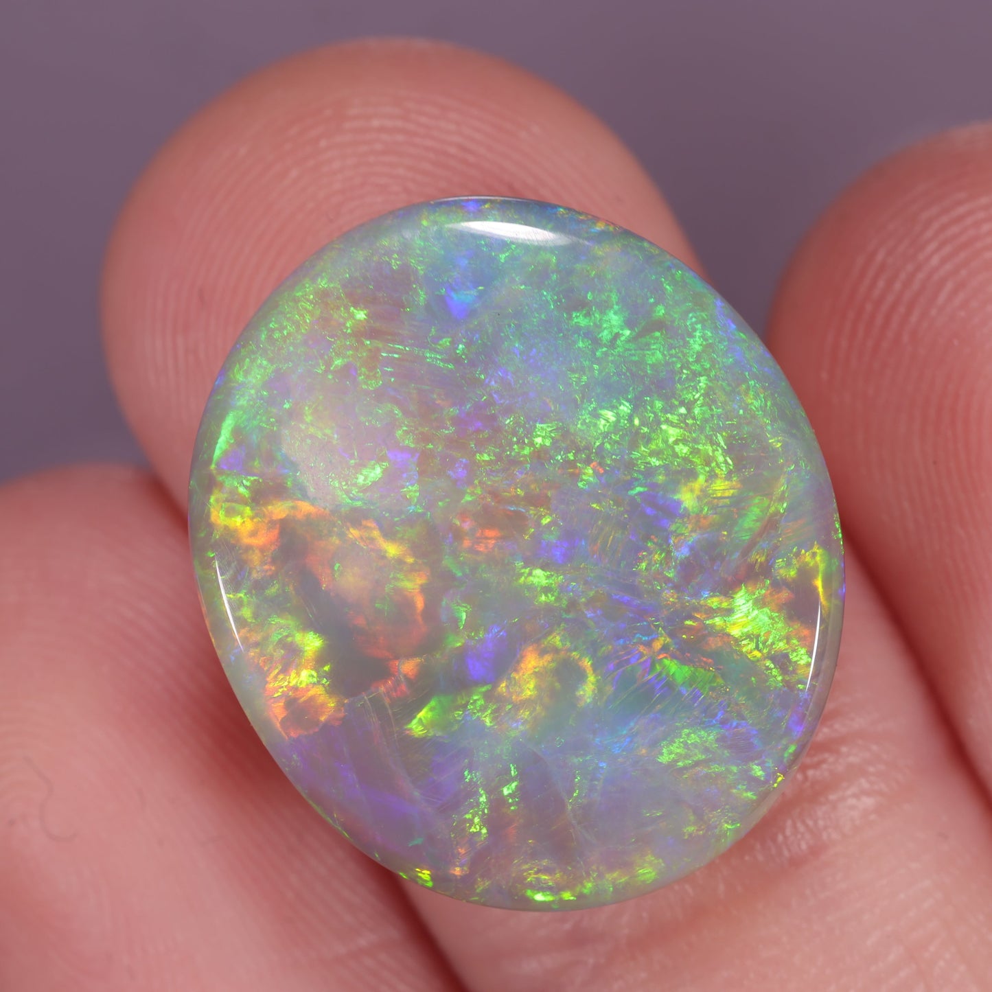 Lightning Ridge Opal 8.02 cts 25058