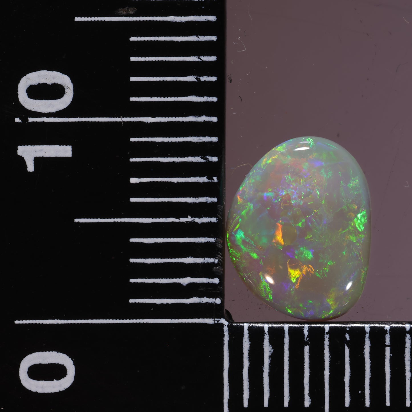 Lightning Ridge Opal 1.33cts 25388