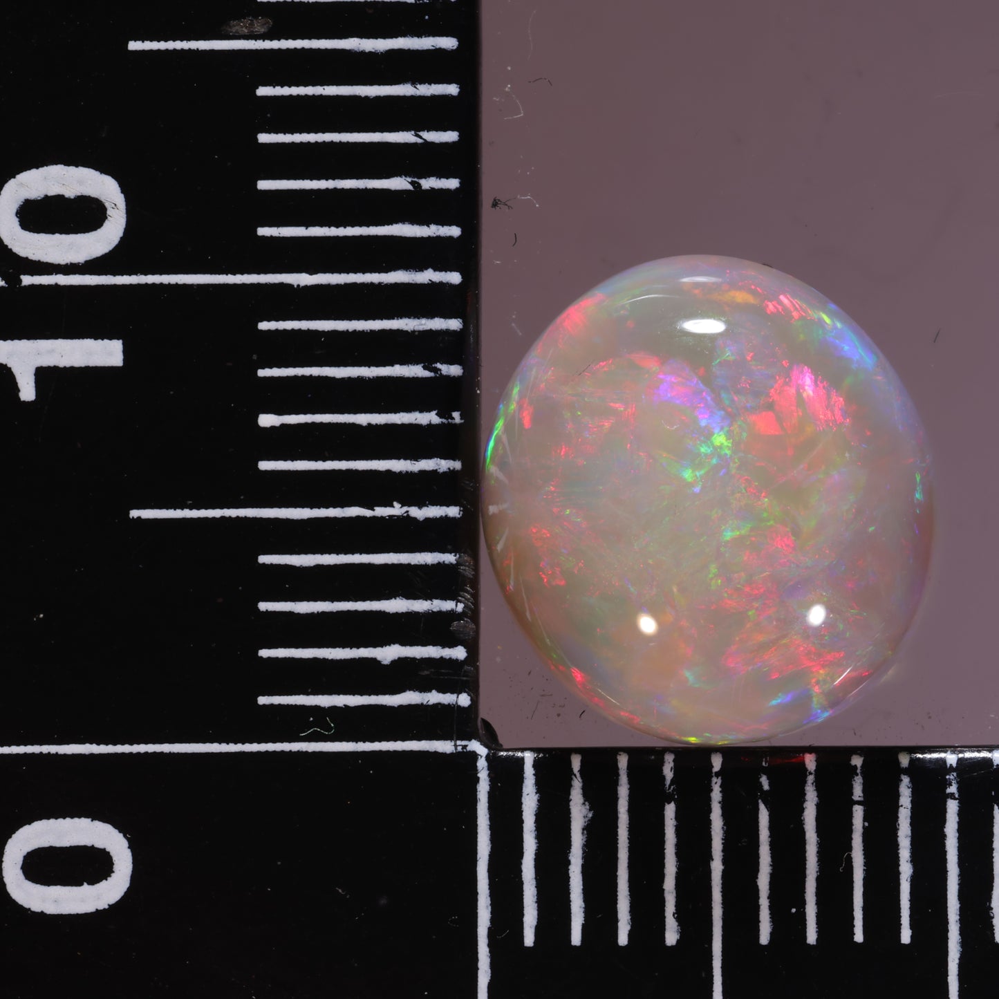 Lightning Ridge Opal 3.52cts 25394