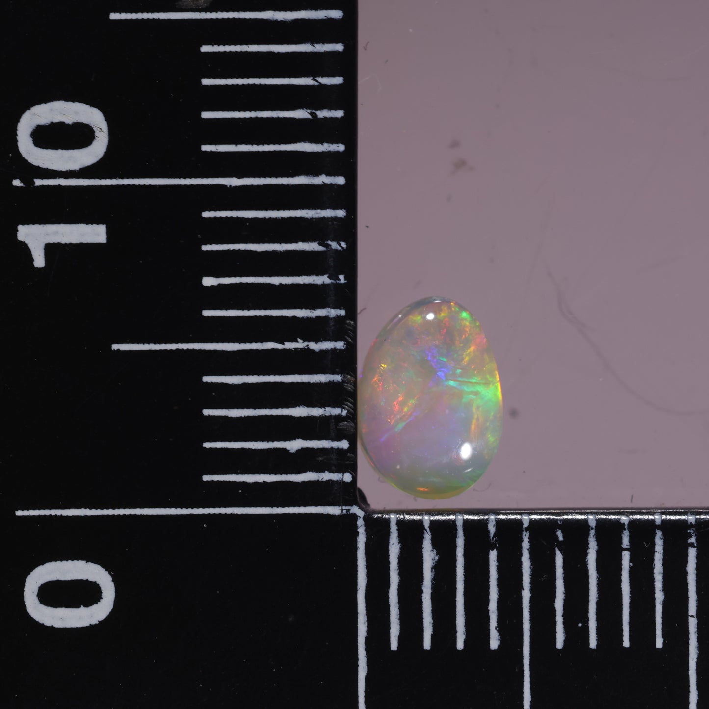 Lightning Ridge Opal 0.34cts 25403