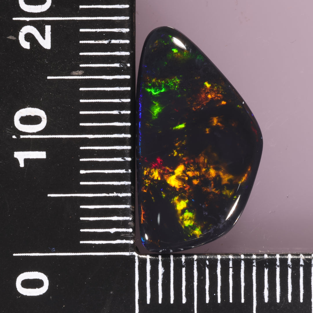 Lightning Ridge Opal 5.51cts 25537