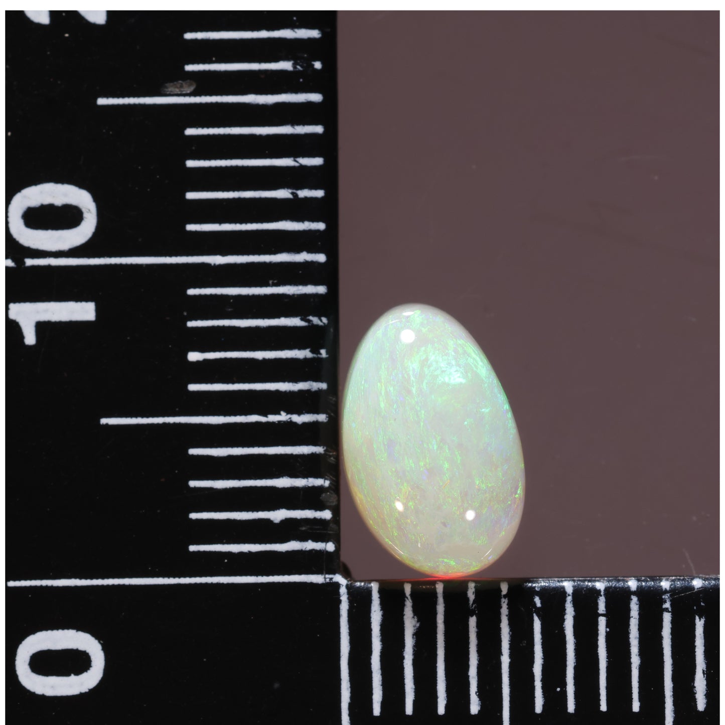 Lightning Ridge Opal 1.60cts 25720