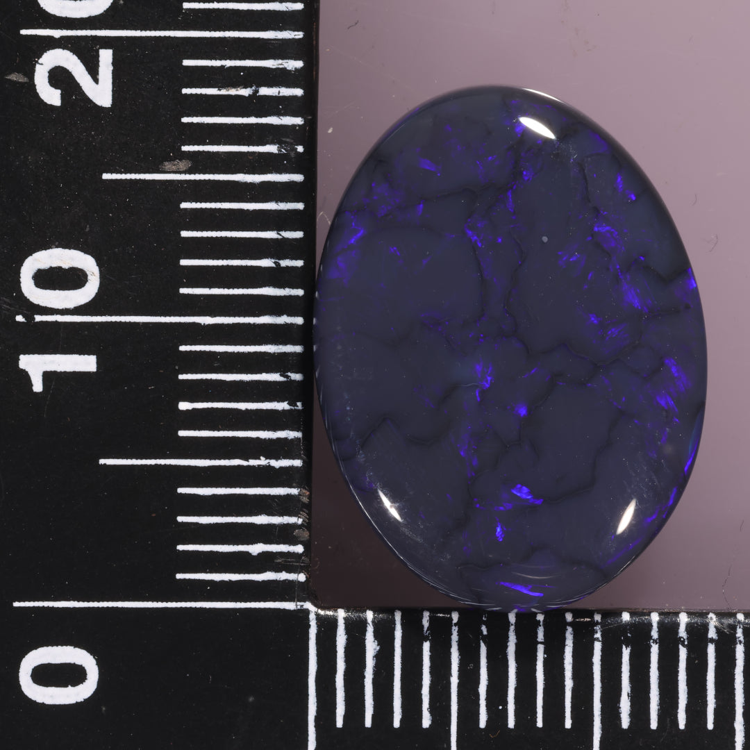 Lightning Ridge Opal 10.38cts 26219