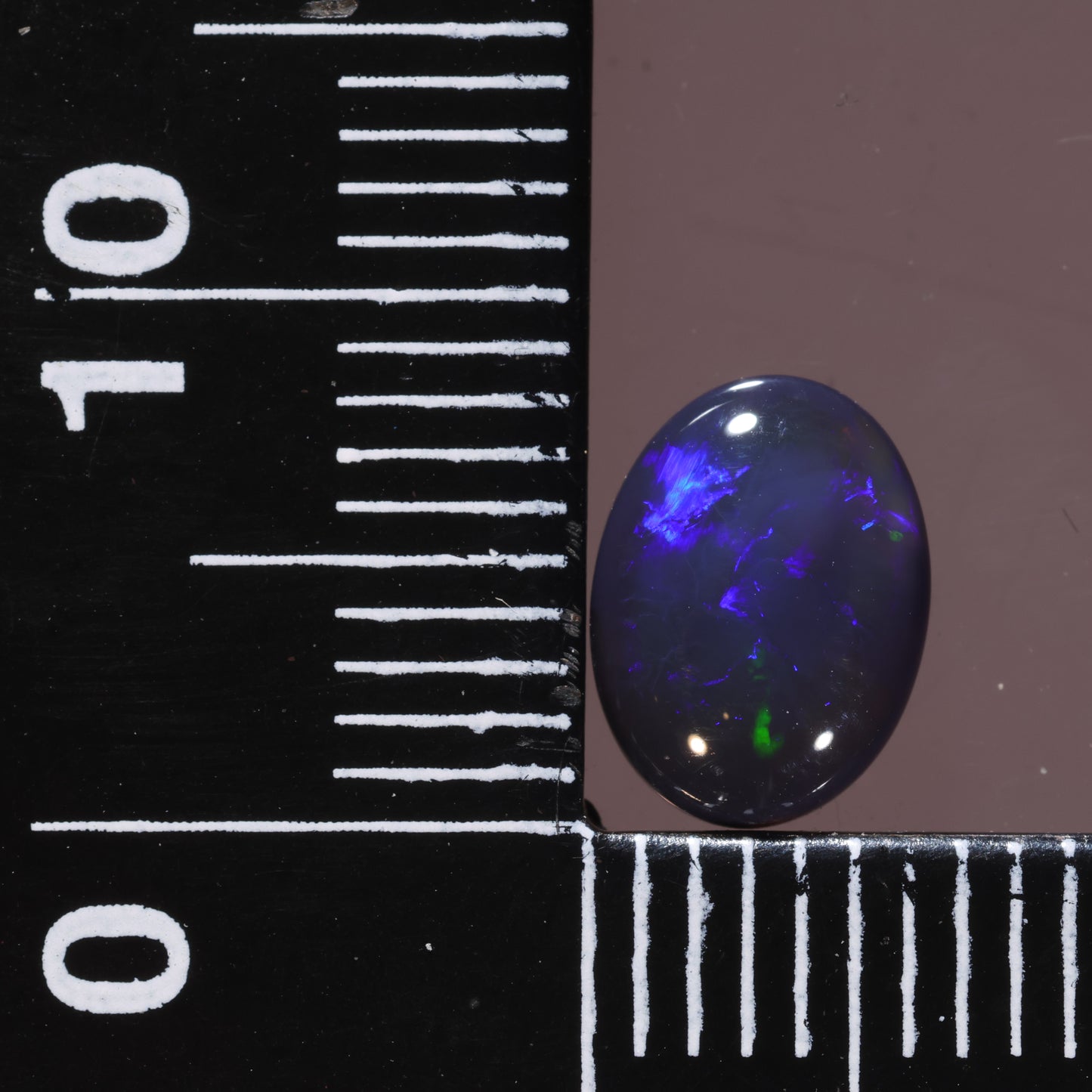 Lightning Ridge Opal 1.13cts 26691