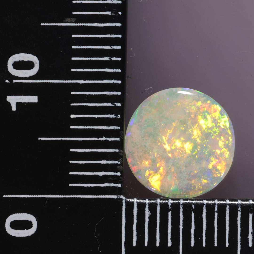 Lightning Ridge Opal 1.16cts 26743