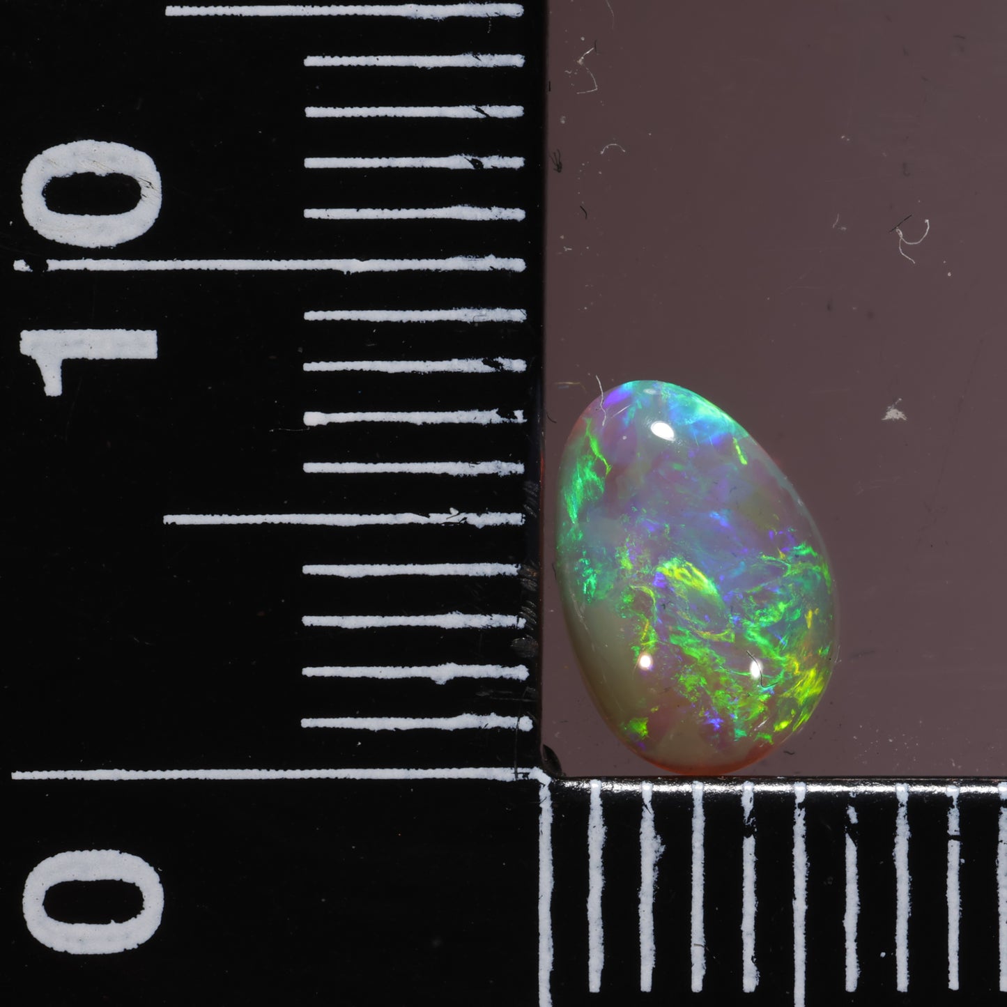 Lightning Ridge Opal 0.89cts 26773