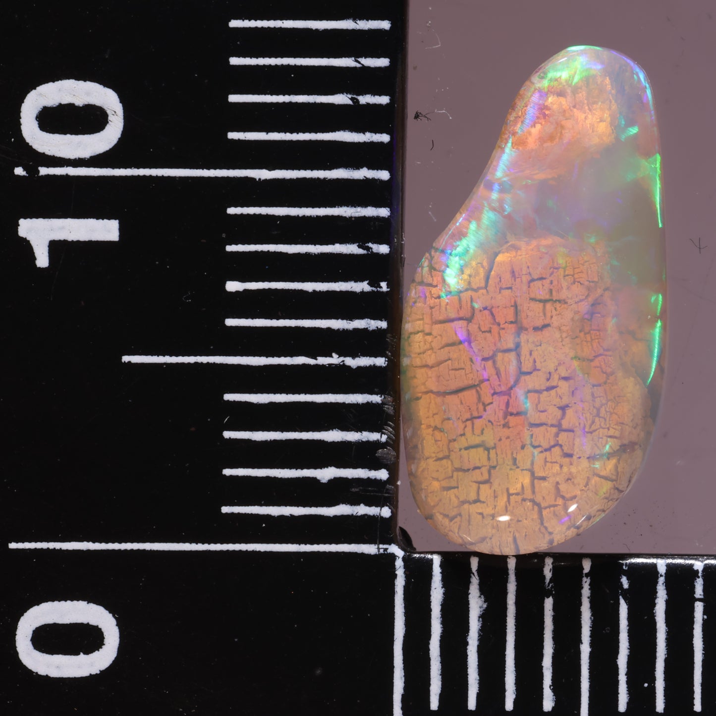 Lightning Ridge Opal 2.19cts 26774