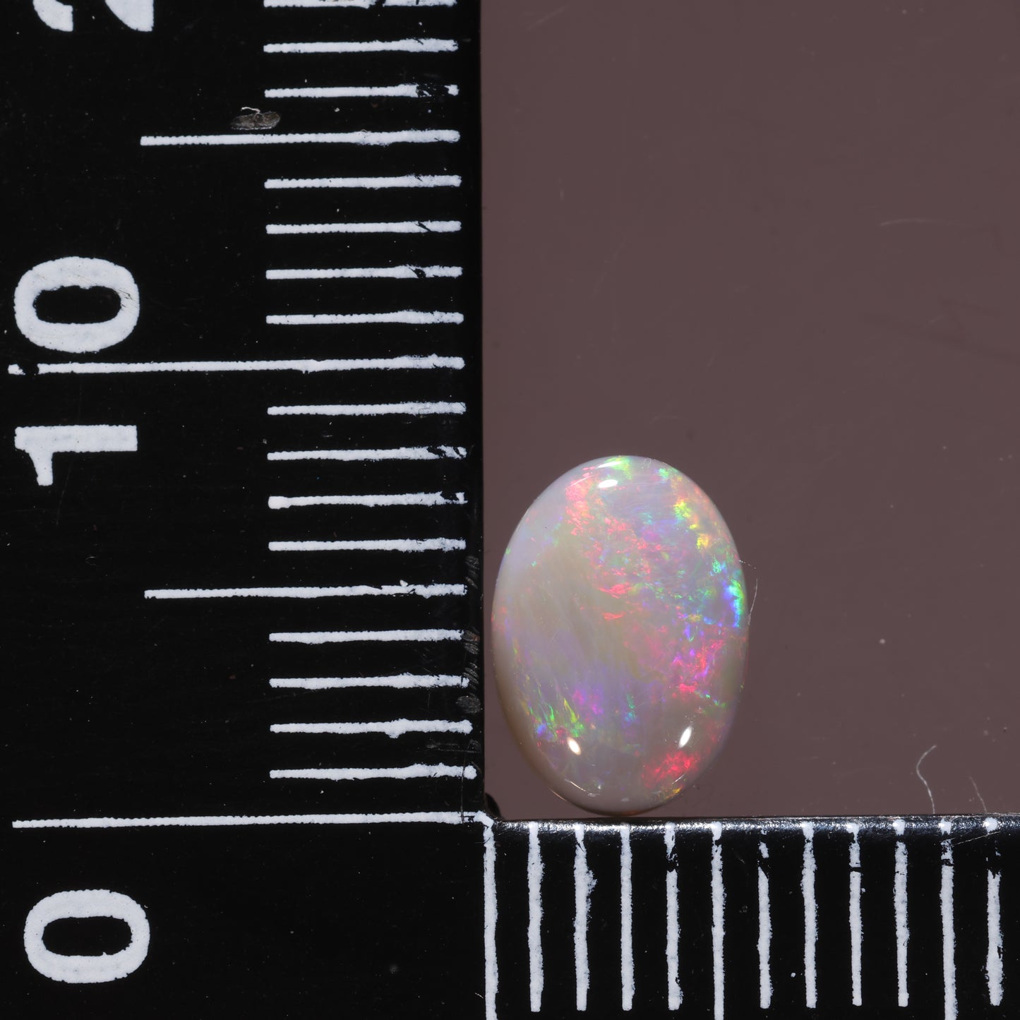 Lightning Ridge Opal 1.75cts 27178