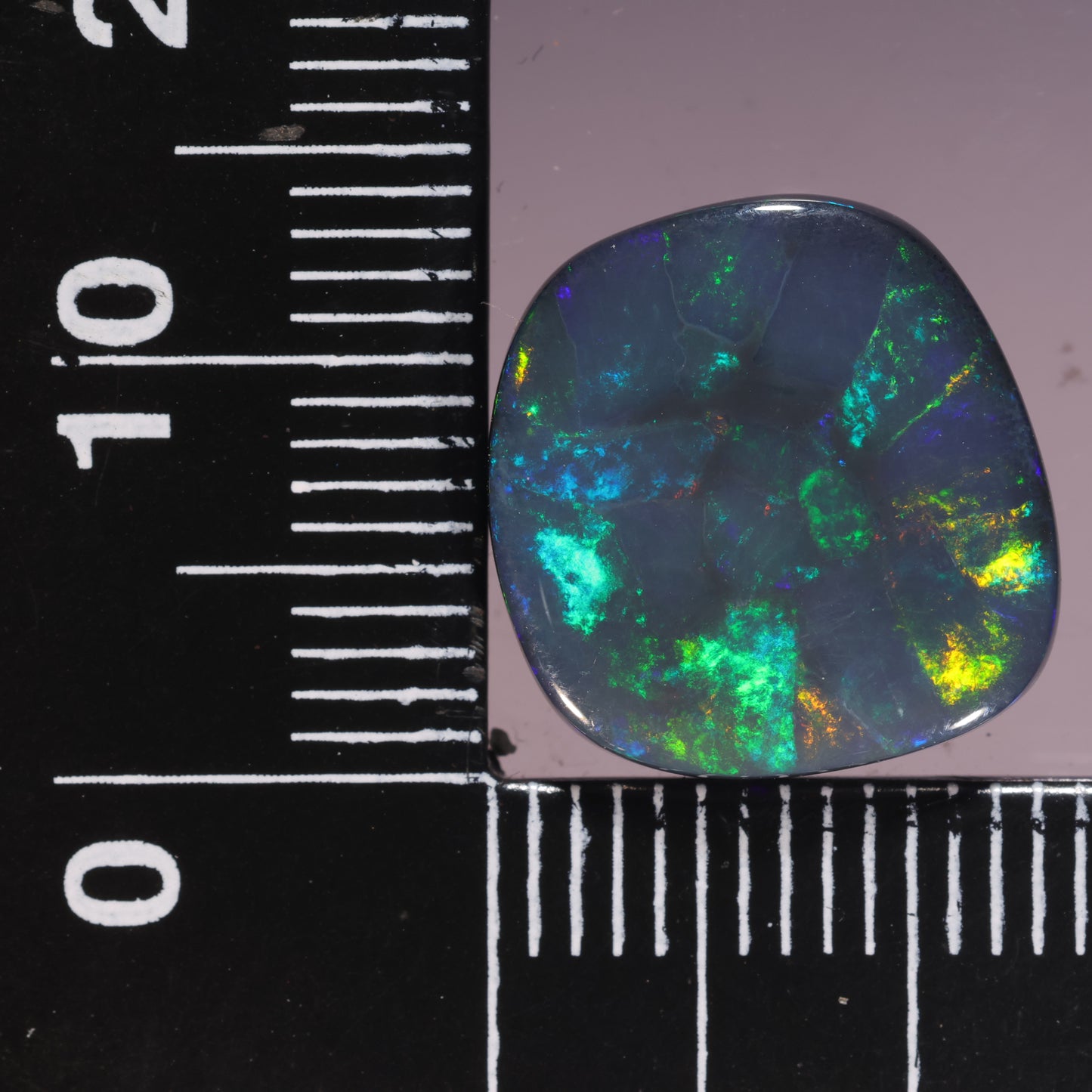Lightning Ridge Opal 6.50cts 27484