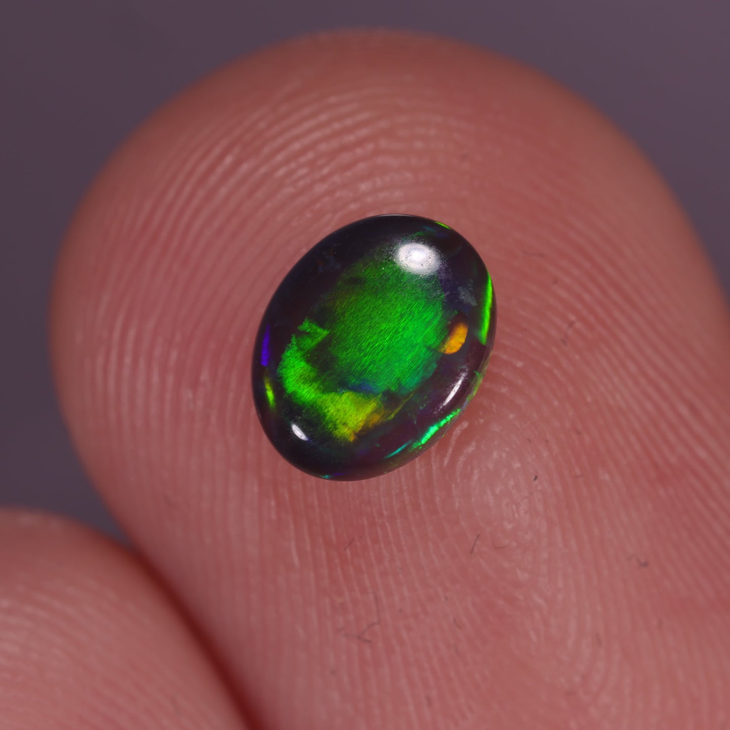 Lightning Ridge Opal 0.35 cts 28537
