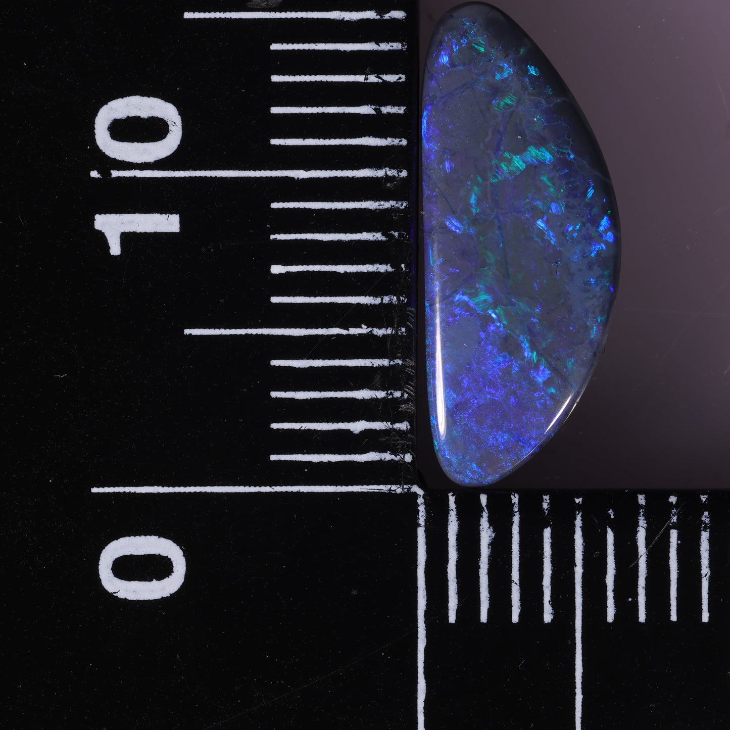 Lightning Ridge Opal 1.81 cts 31113