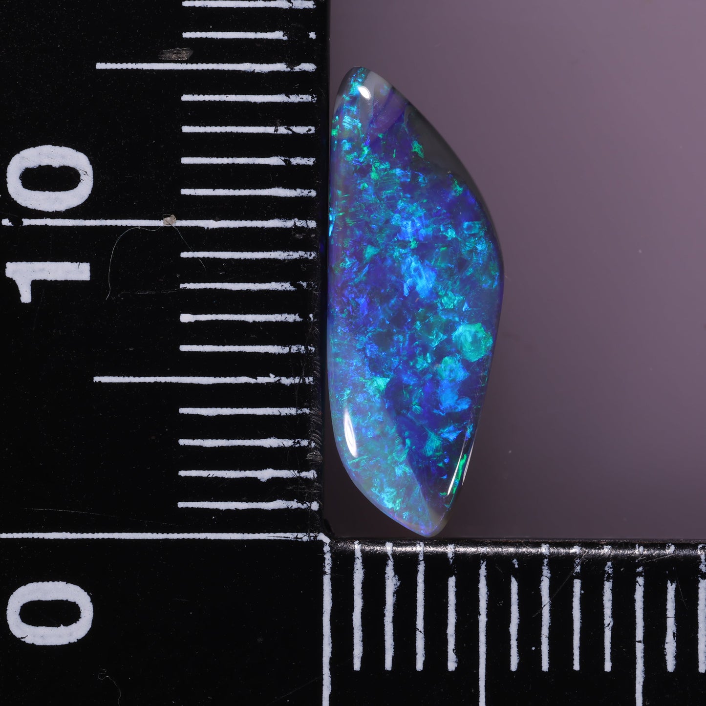 Lightning Ridge Opal 1.7 cts 31161
