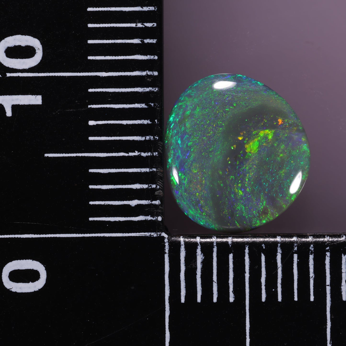Lightning Ridge Opal 1.34 cts 31168