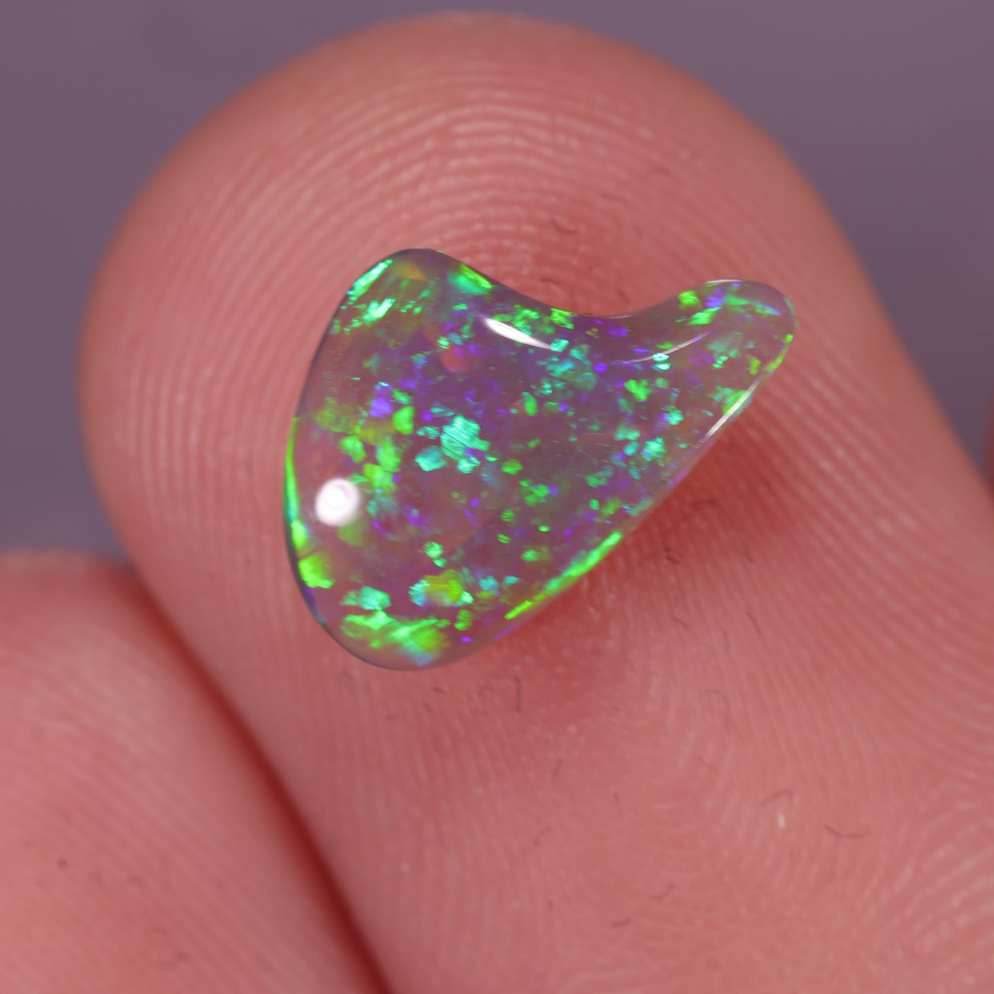 Lightning Ridge Opal 0.77 cts 31171