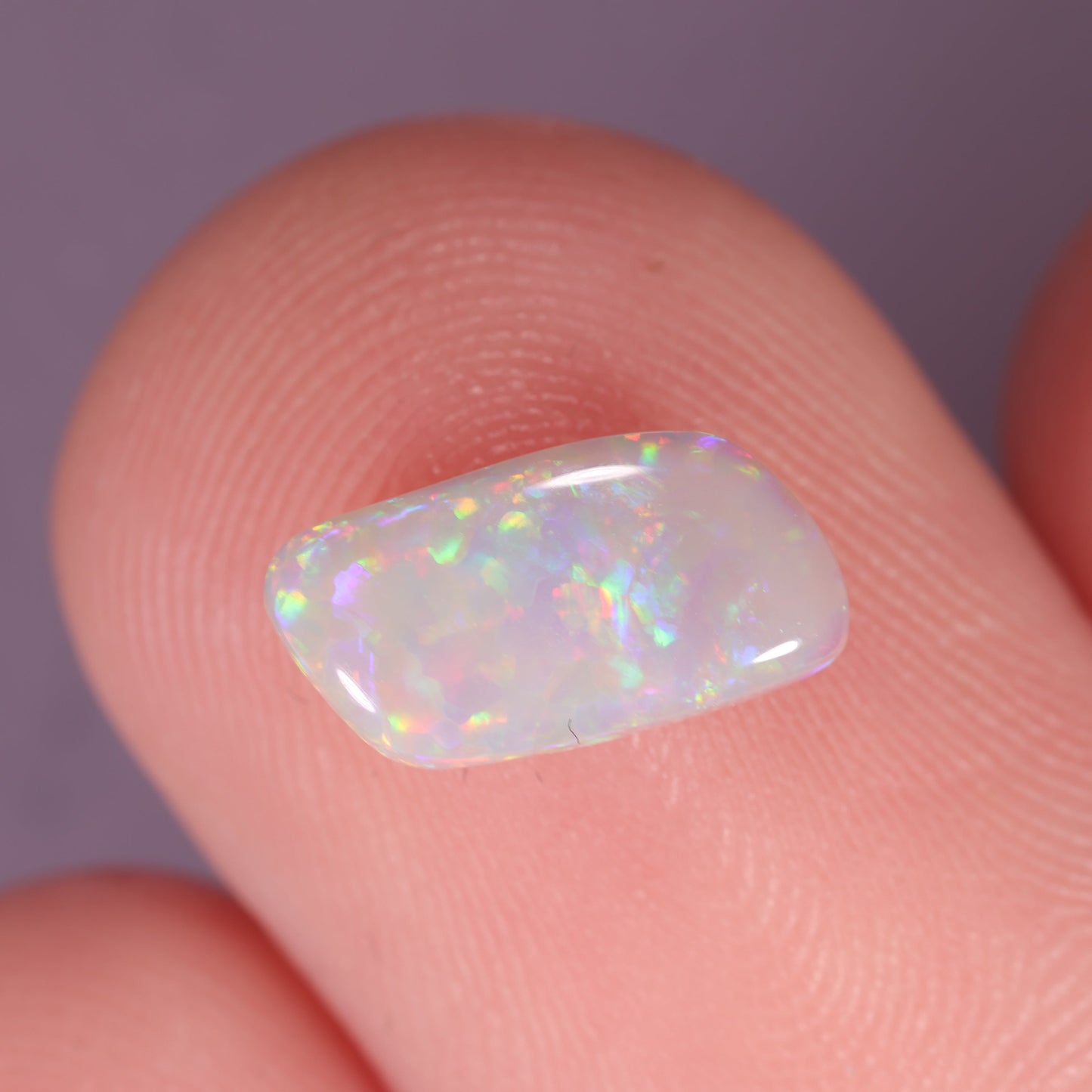 Lightning Ridge Opal 0.84 cts 31563