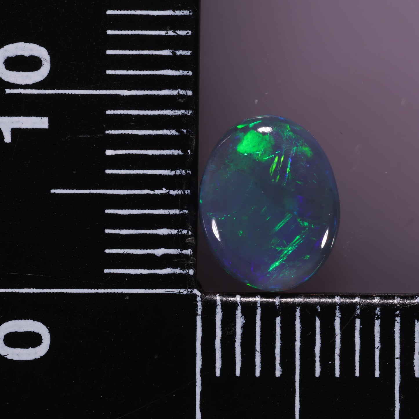 Lightning Ridge Opal 1.68 cts 31657