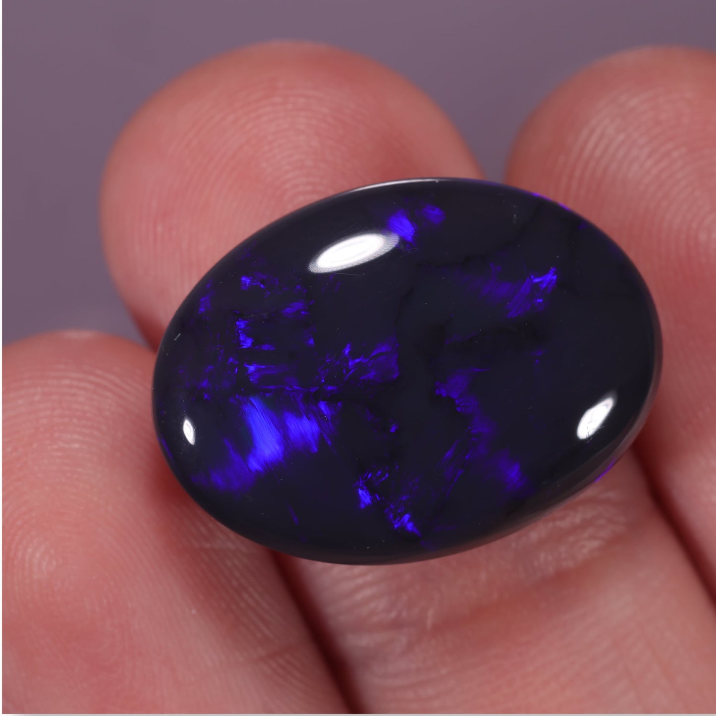 Lightning Ridge Opal 12.45cts 32308