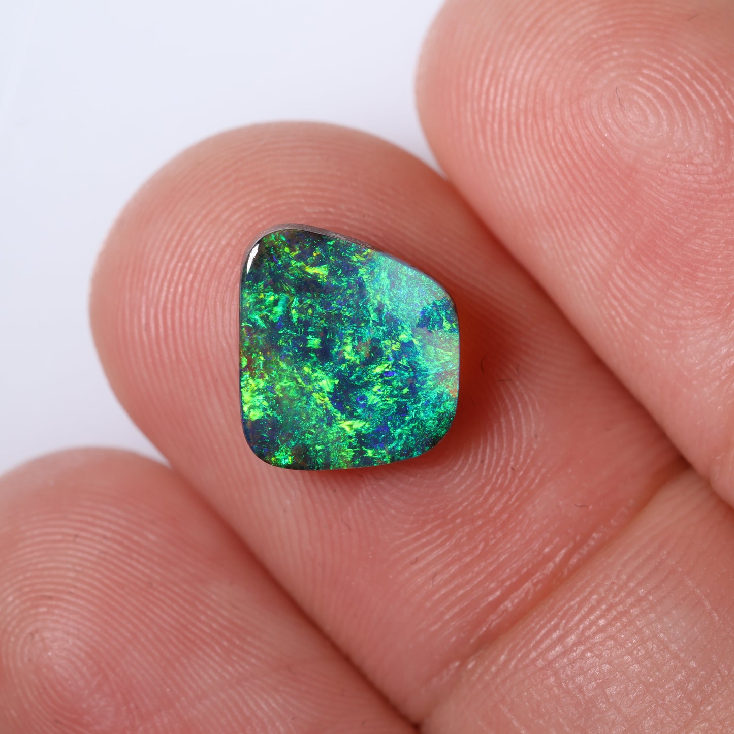 Boulder Opal 1.96 cts 33662