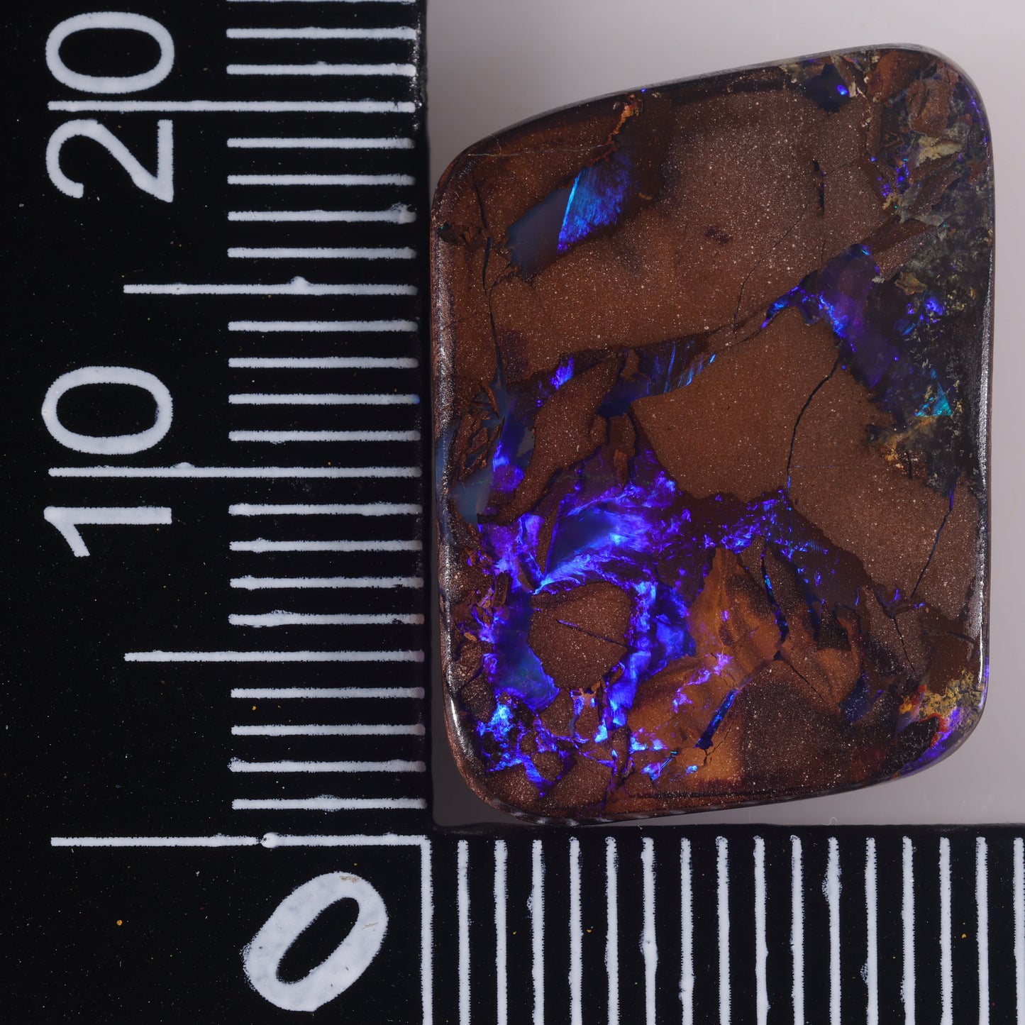 Boulder Opal 13.02 cts 34444