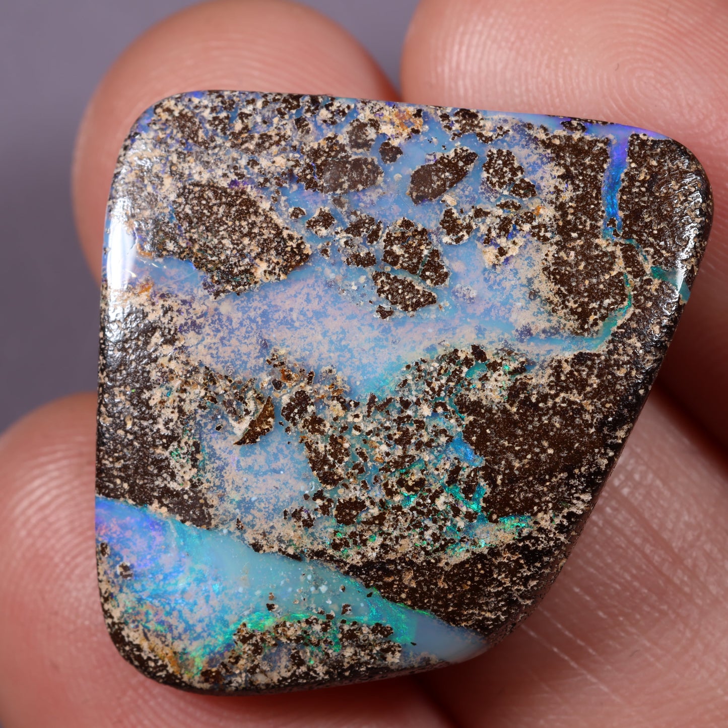 Boulder Opal 31.5 cts 34620