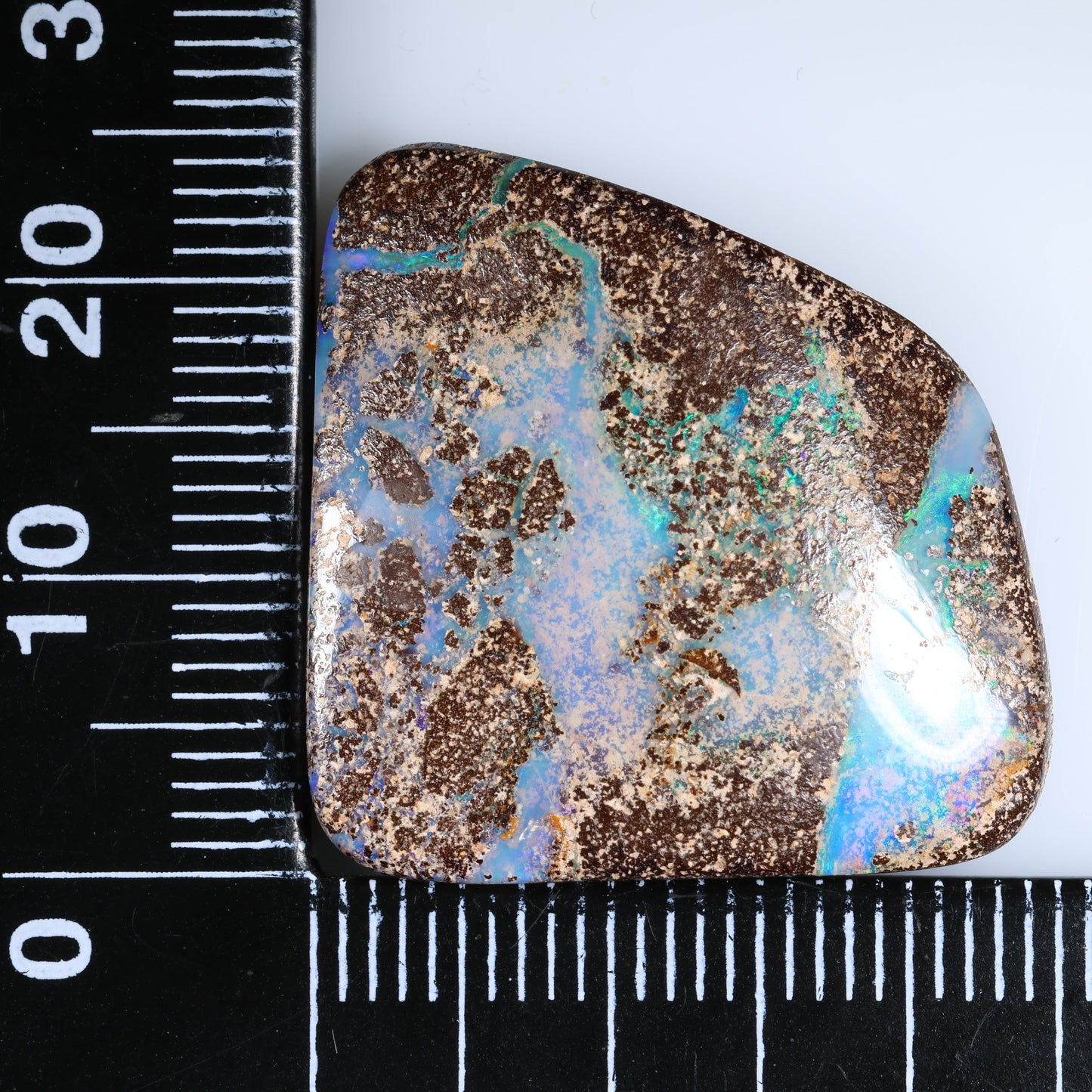 Boulder Opal 31.5 cts 34620