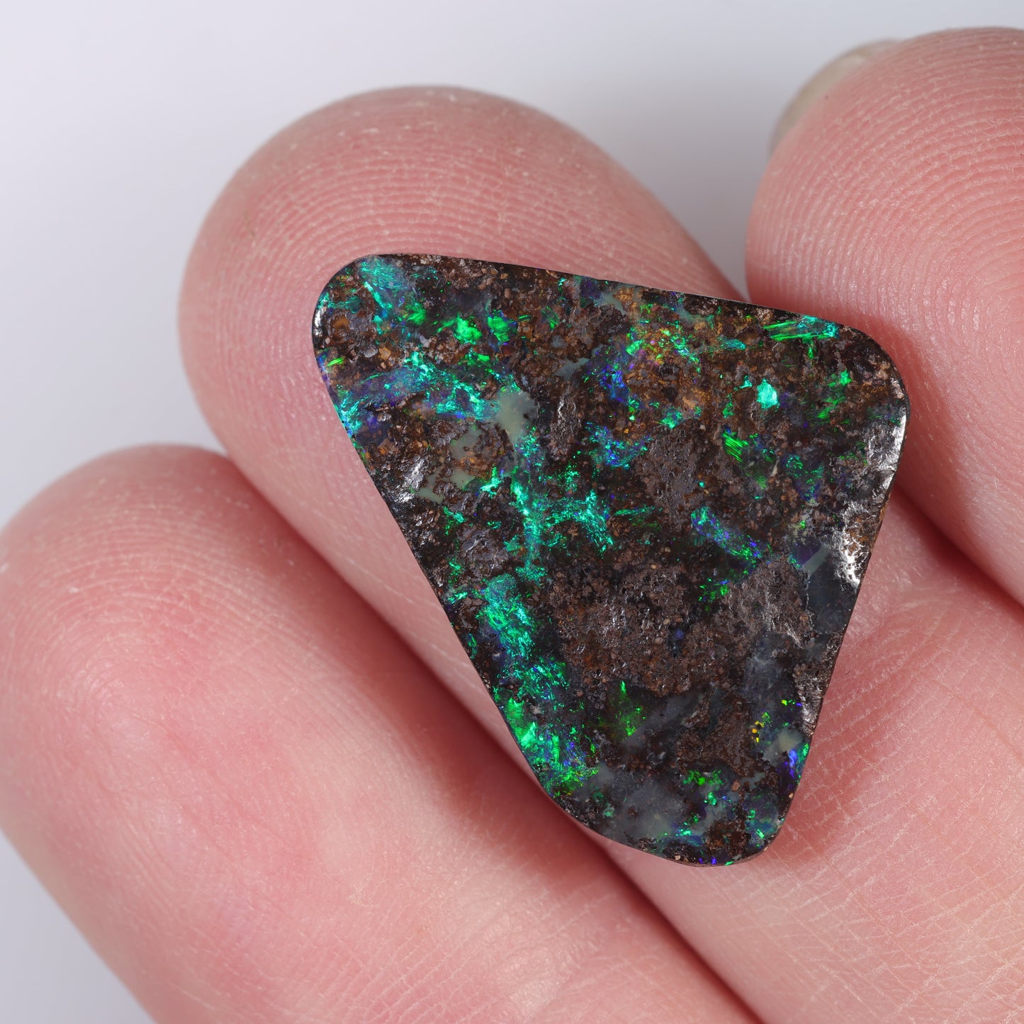 Boulder Opal 11.05 cts 35986