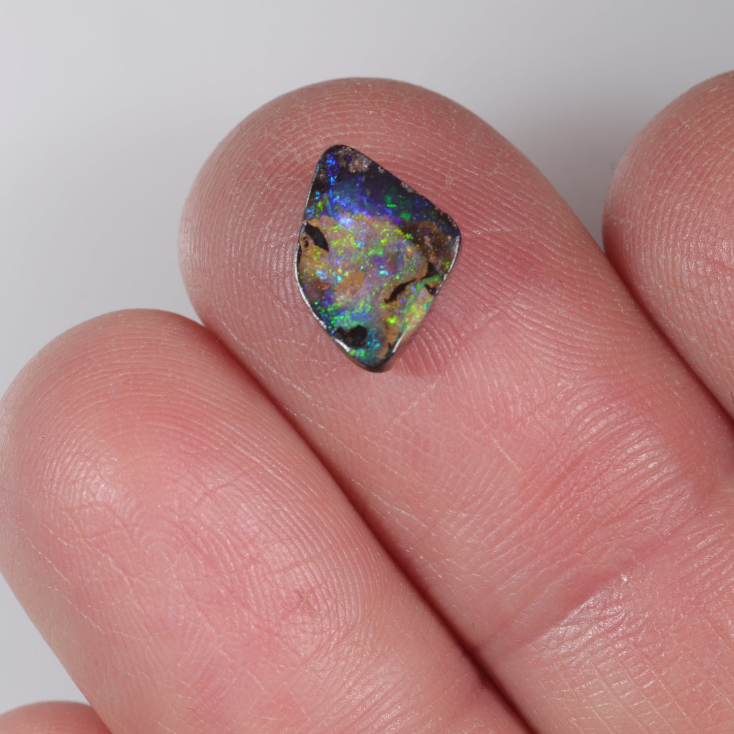 Boulder Opal 1.62 cts 36100