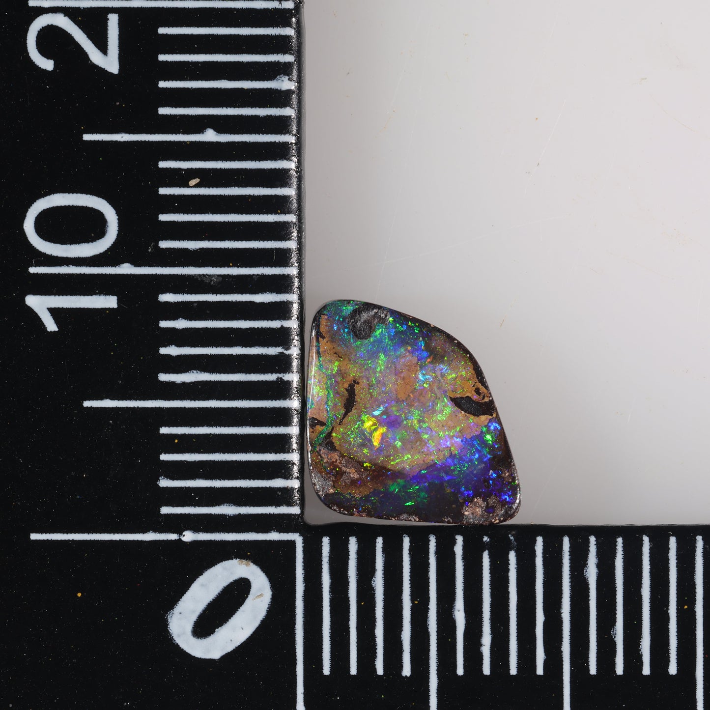 Boulder Opal 1.62 cts 36100