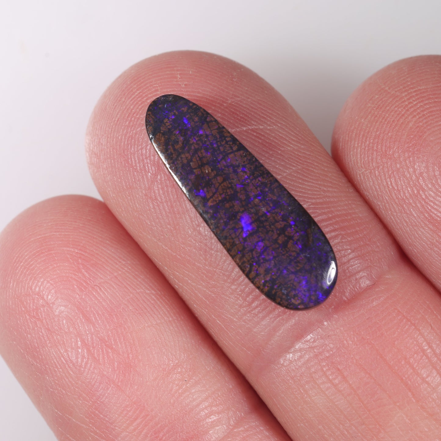 Boulder Opal 4.88 cts 36321