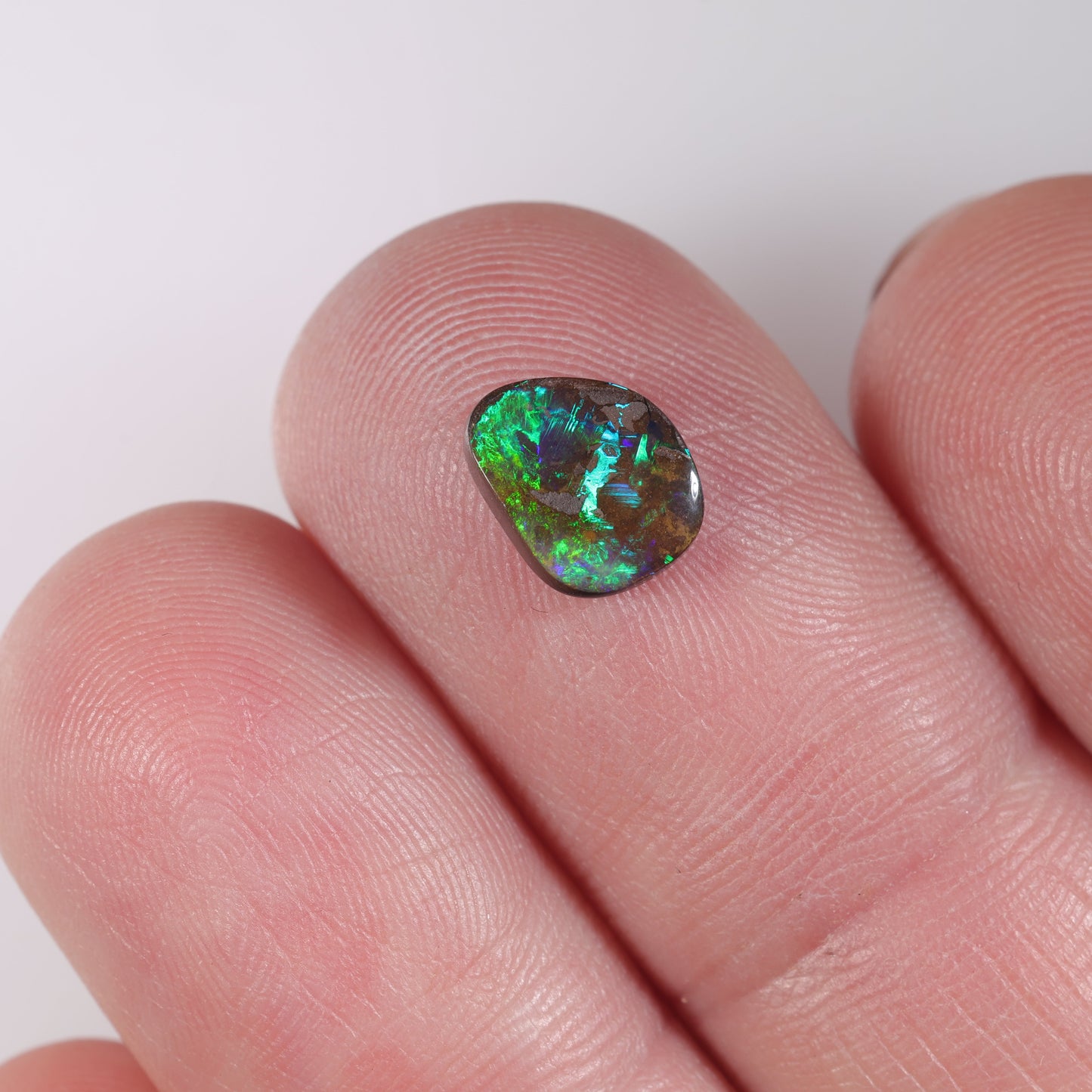 Boulder Opal 1.59 cts 36781