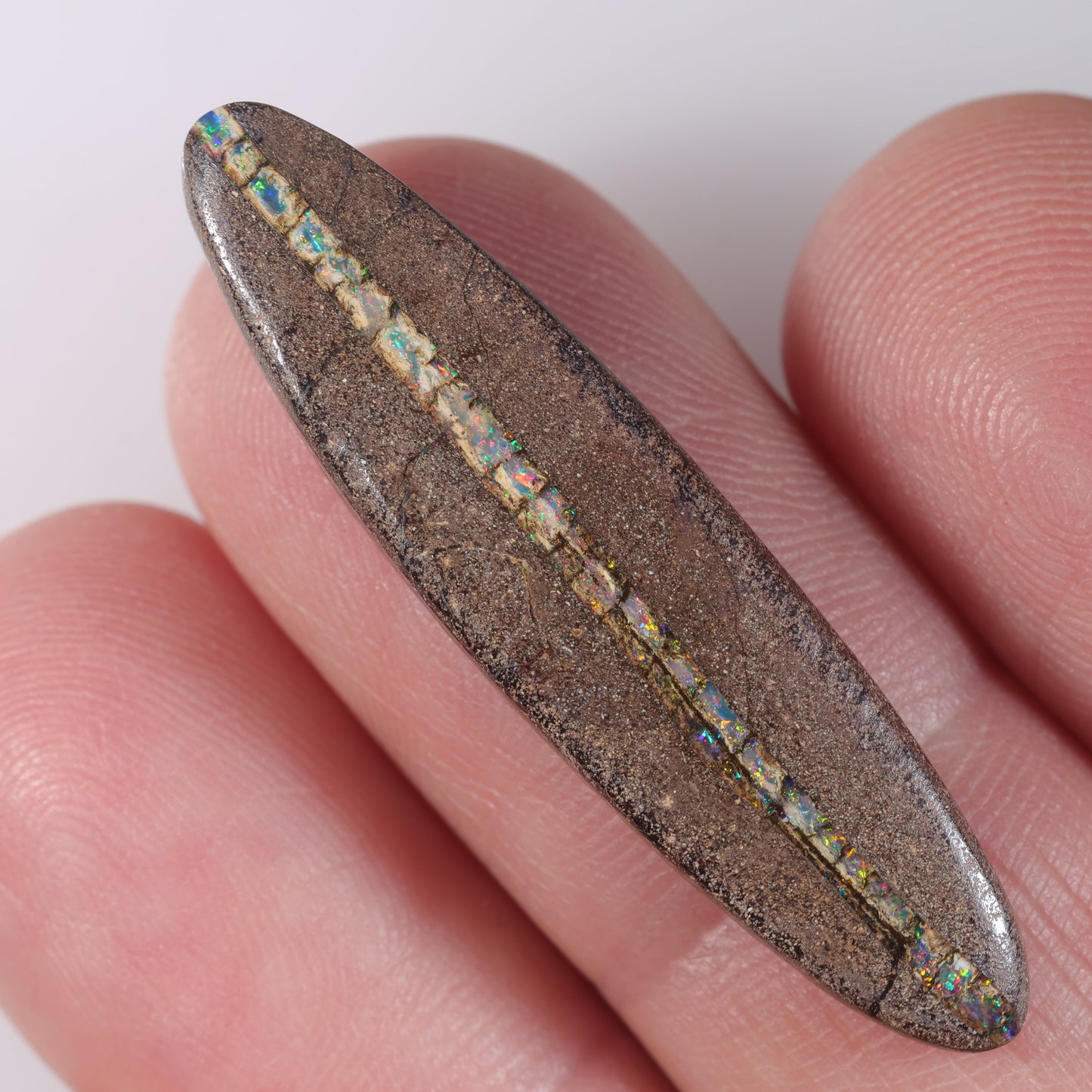 Boulder Opal 13.67 cts 36896
