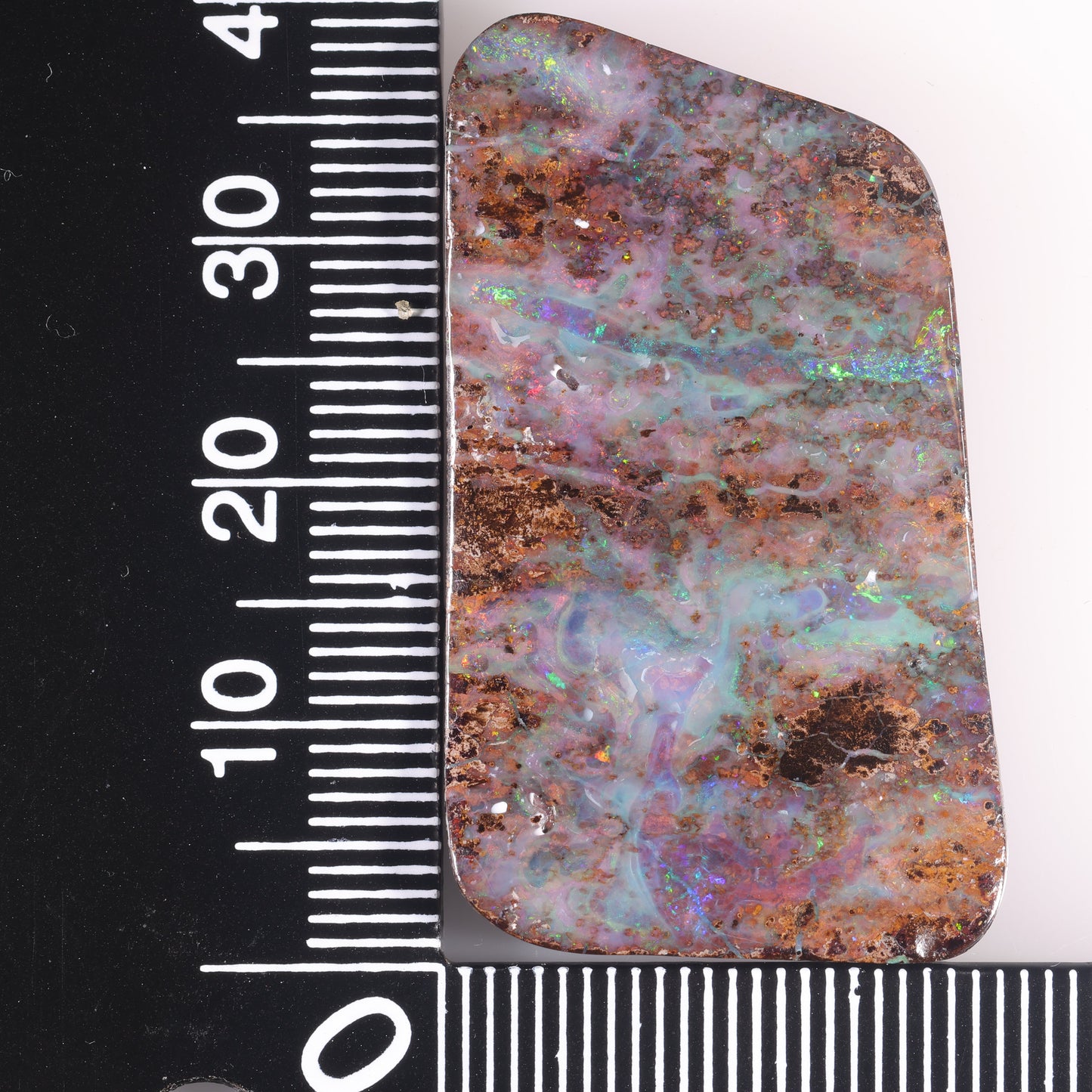 Boulder Opal 47.79 cts 37049