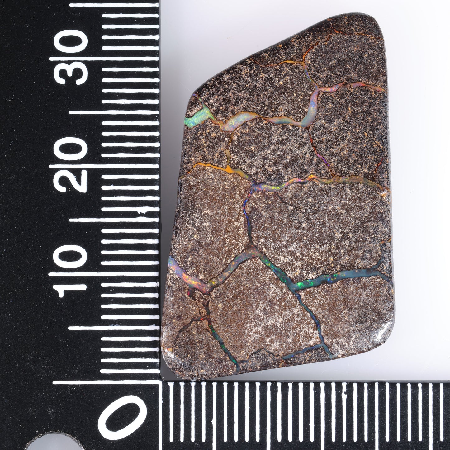 Boulder Opal 37.49 cts 37499