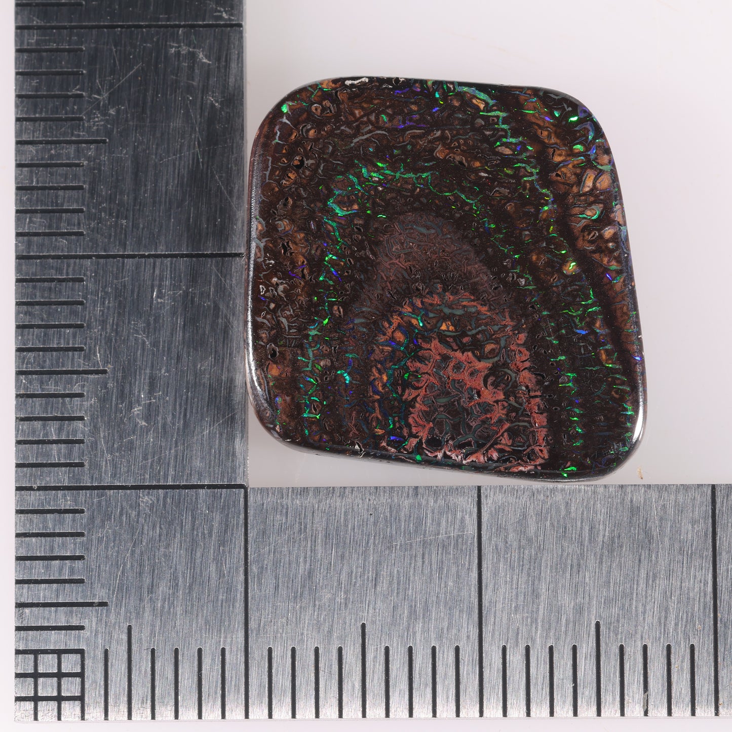 Boulder Opal 12.82 cts 38896